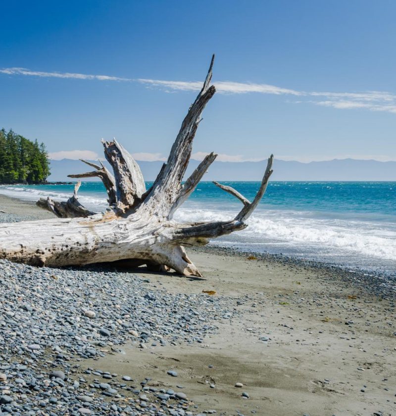 Isola di Vancouver