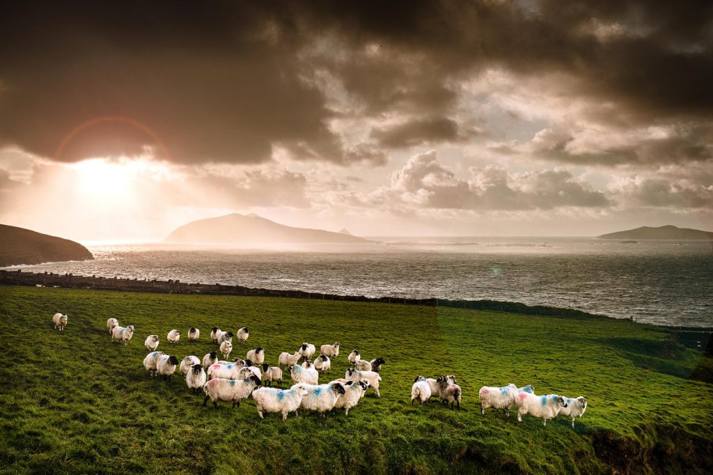 Isole del Mare D'irlanda