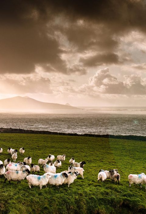 Isole del Mare D'irlanda