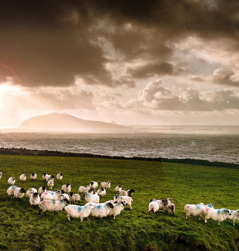 Isole del Mare D'irlanda