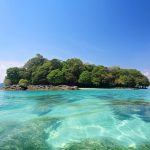 Isole Nascoste d’Italia: Alla Scoperta dell’Isola di Falconera, un Paradiso Inesplorato