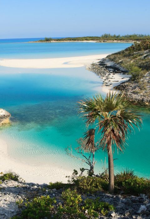 Paradise Island