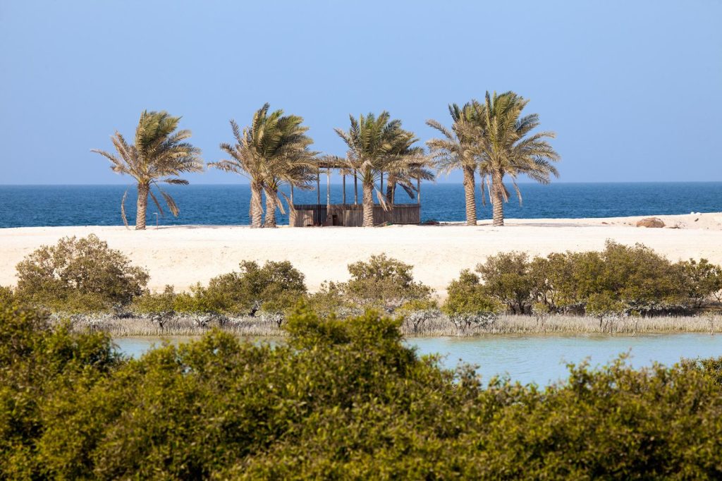 Sir Bani Yas Island