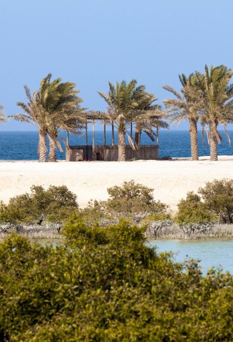 Sir Bani Yas Island