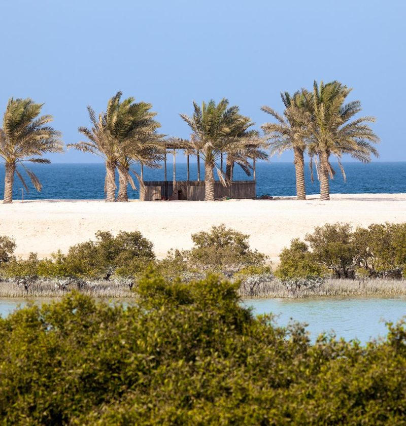 Sir Bani Yas Island